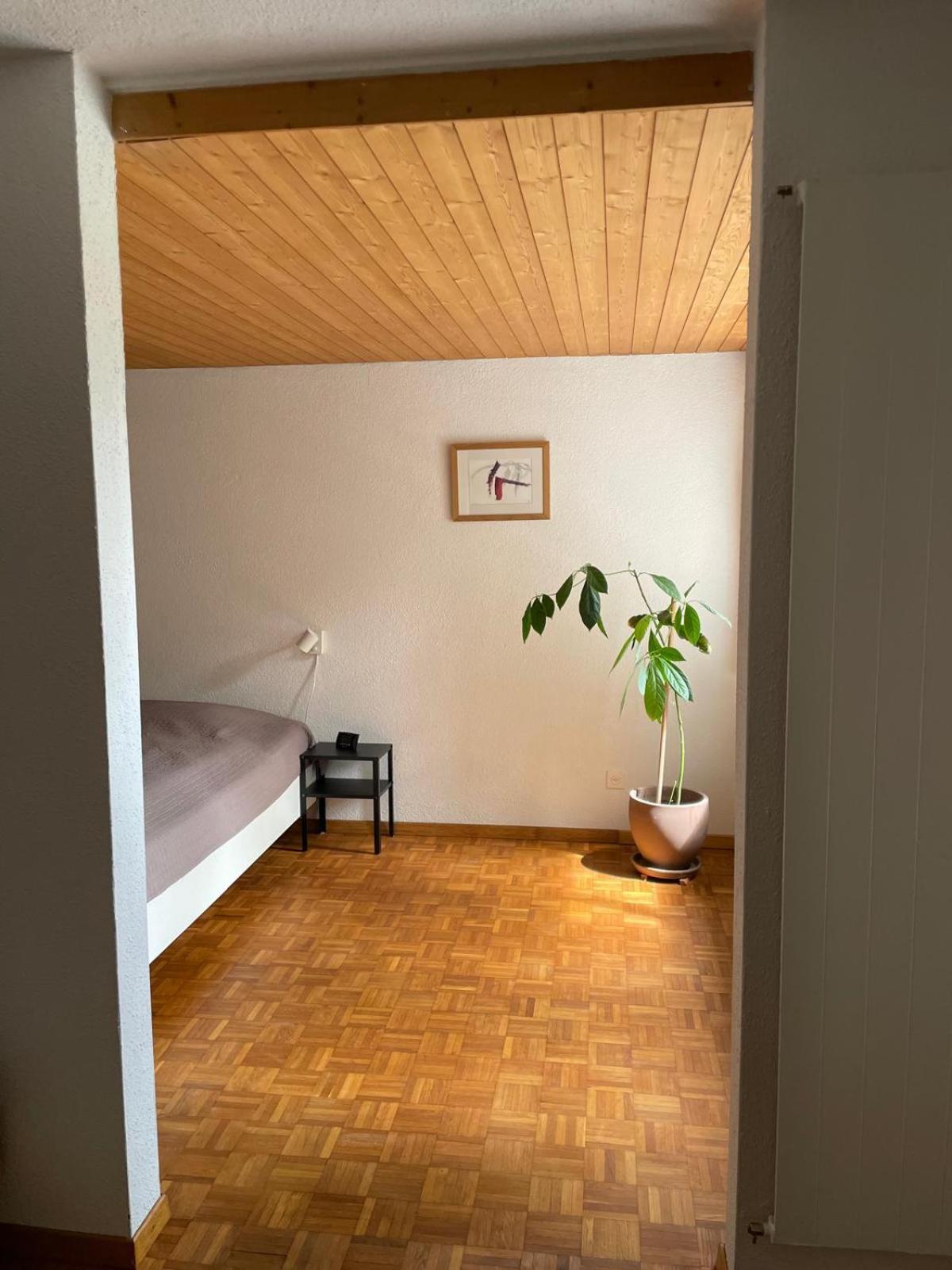2.5 Zimmerwohnung, Pinut Trin Екстериор снимка